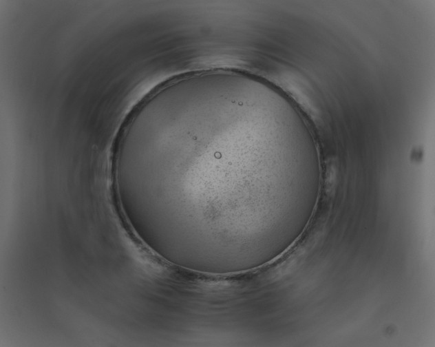 X0000094451031200711211514