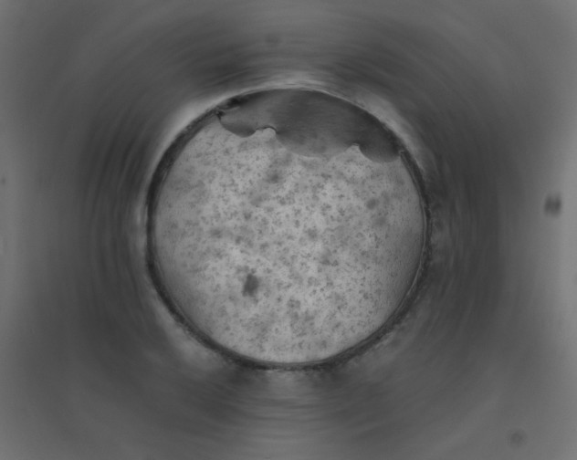 X0000094451032200711211514