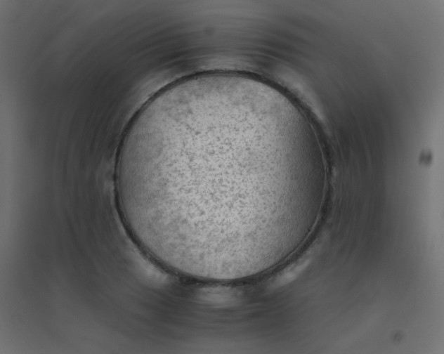 X0000094451033200711211514