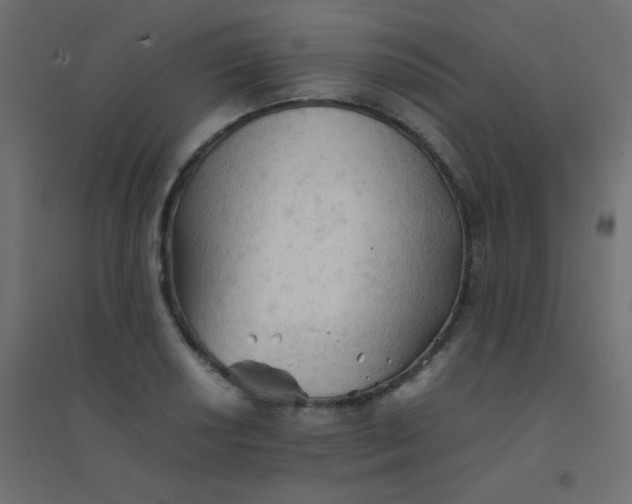 X0000094451034200711211514