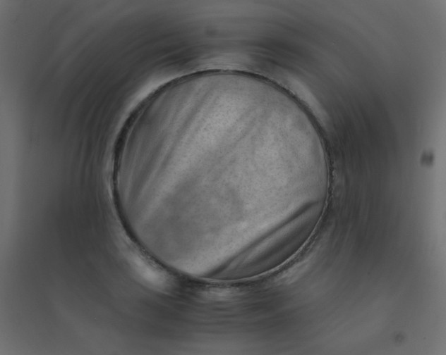 X0000094451035200711211514