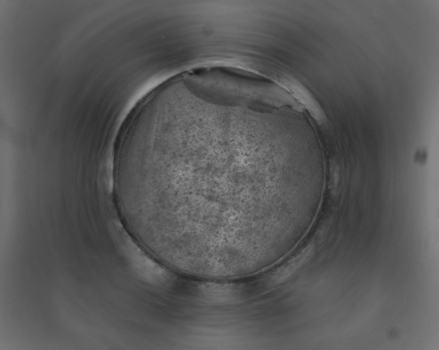 X0000094451036200711211514