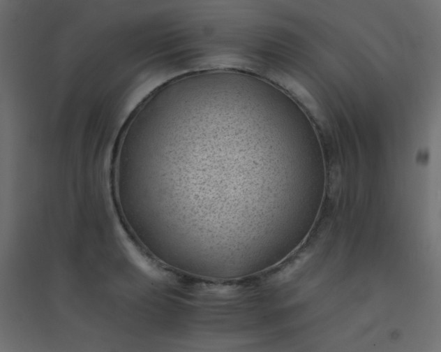 X0000094451039200711211514