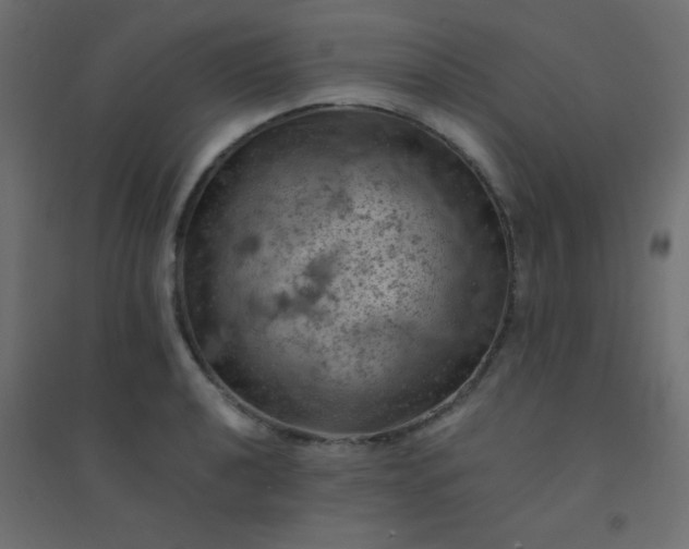 X0000094451040200711211514