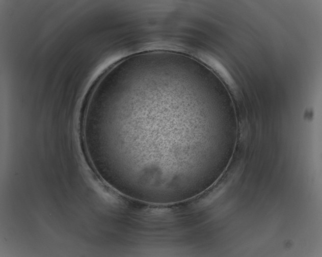 X0000094451043200711211514