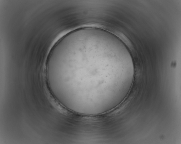 X0000094451044200711211514