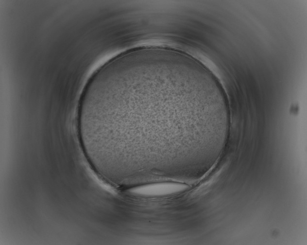 X0000094451045200711211514