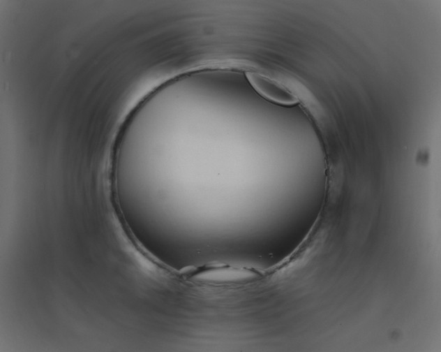 X0000094451046200711211514