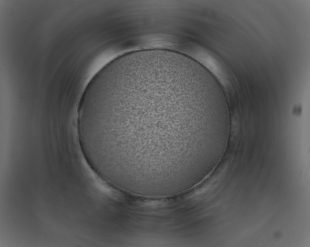 X0000094451047200711211514