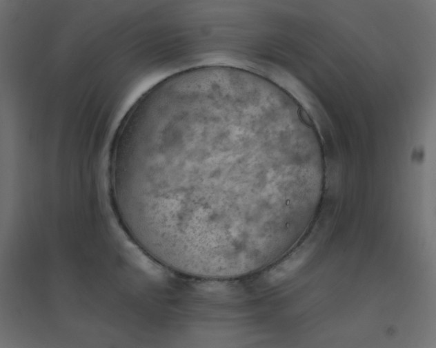 X0000094451048200711211514