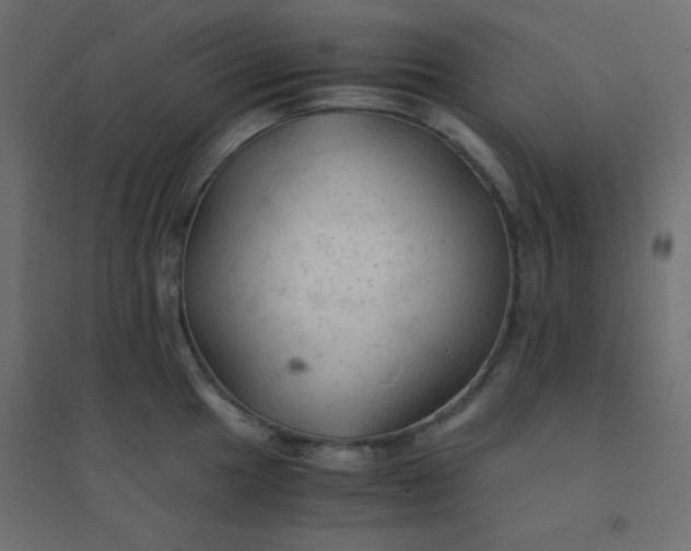 X0000094451049200711211514