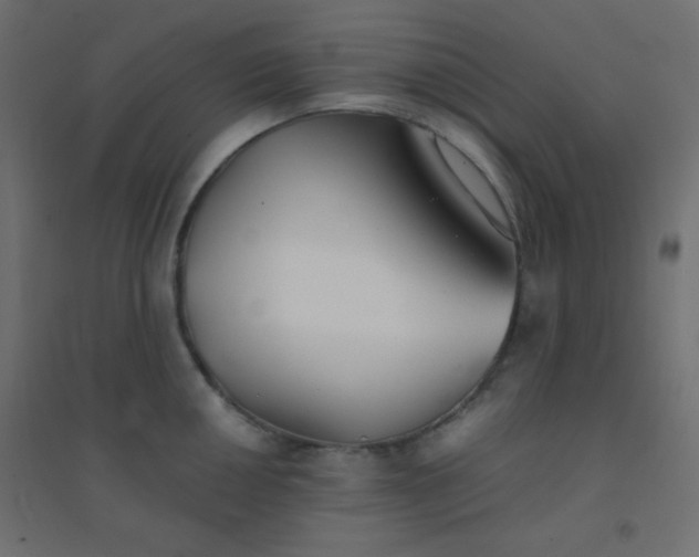 X0000094451050200711211514