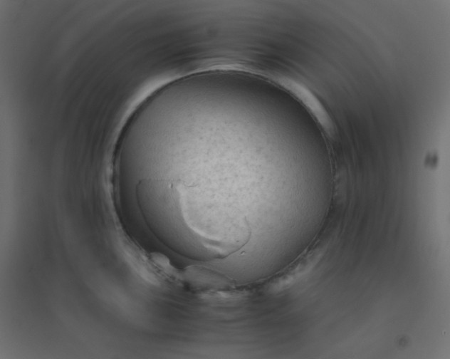 X0000094451051200711211514