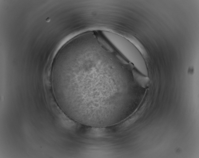 X0000094451052200711211514