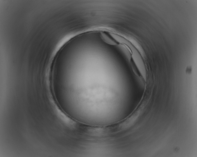 X0000094451054200711211514