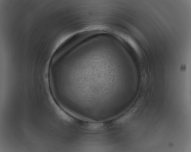 X0000094451055200711211514