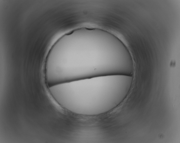 X0000094451056200711211514