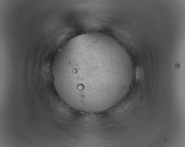 X0000094451059200711211513