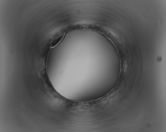 X0000094451062200711211513