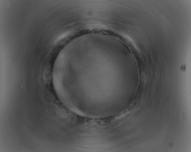 X0000094451063200711211513