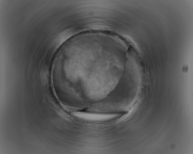 X0000094451065200711211513