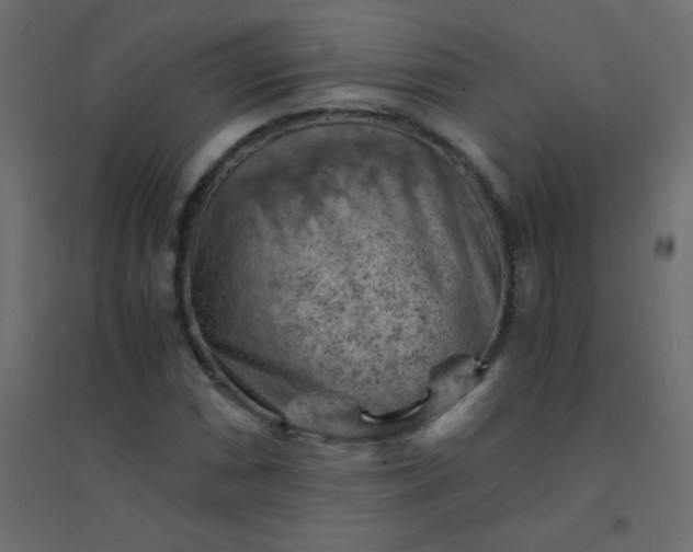 X0000094451066200711211513