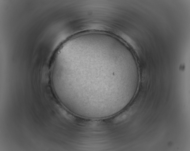 X0000094451067200711211513