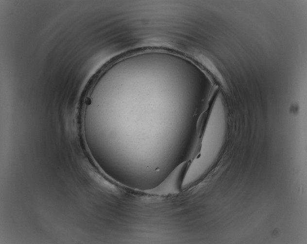 X0000094451068200711211513