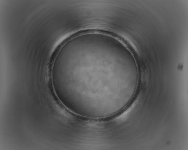 X0000094451069200711211513