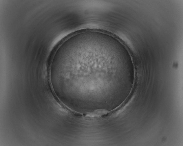 X0000094451070200711211513