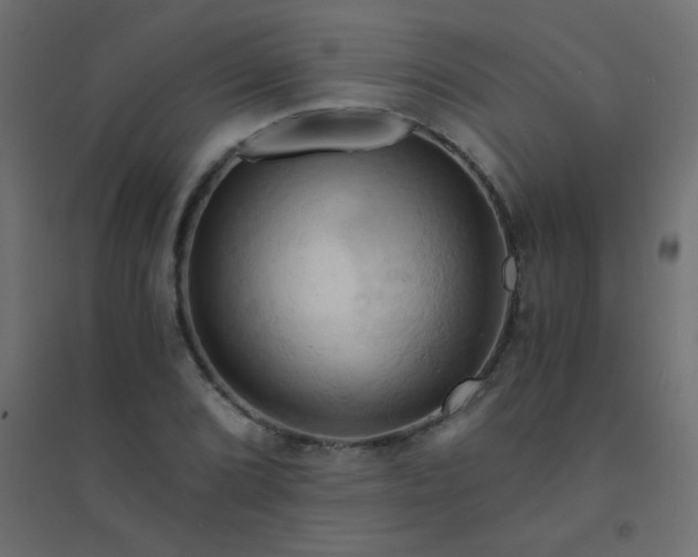 X0000094451072200711211513