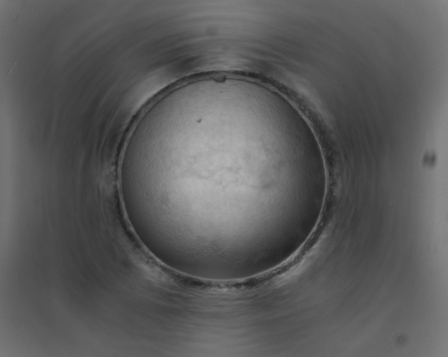 X0000094451073200711211513