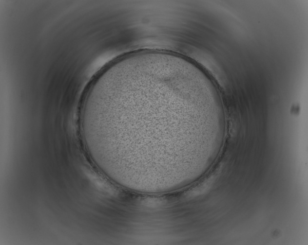 X0000094451074200711211513