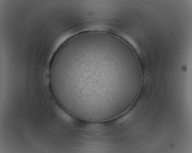 X0000094451075200711211513