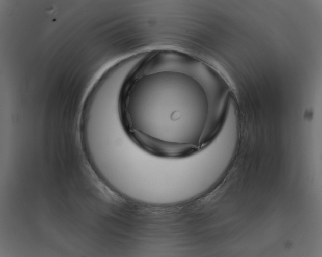 X0000094451076200711211513