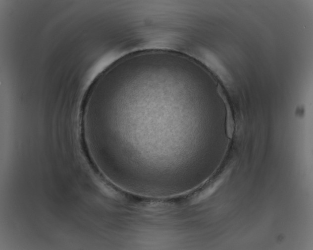 X0000094451077200711211513