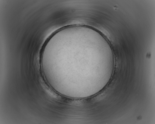 X0000094451078200711211513