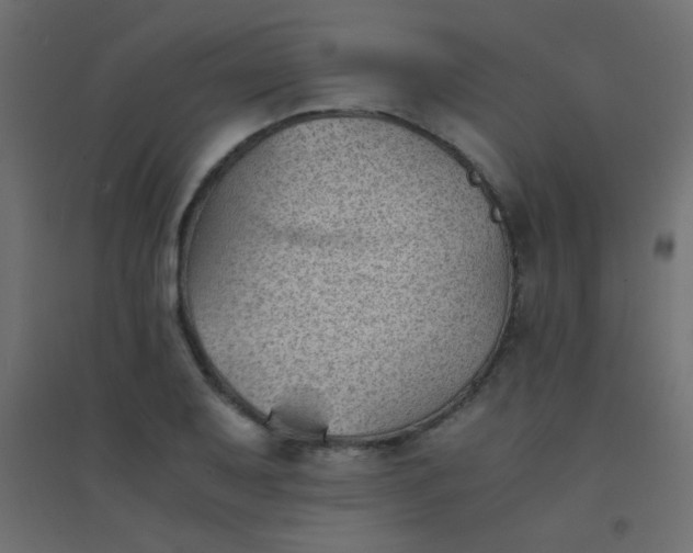 X0000094451079200711211513