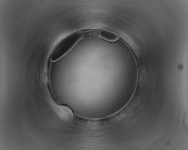 X0000094451080200711211513