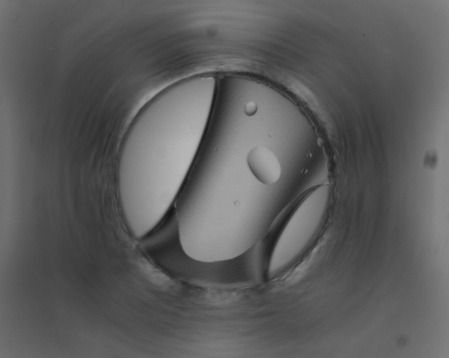 X0000094451081200711211513