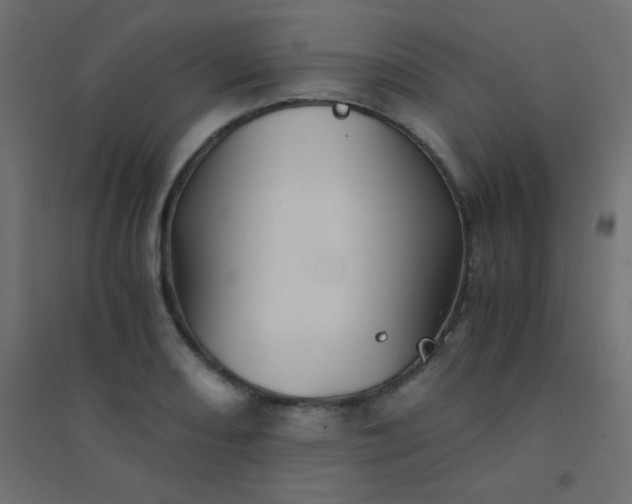 X0000094451082200711211513