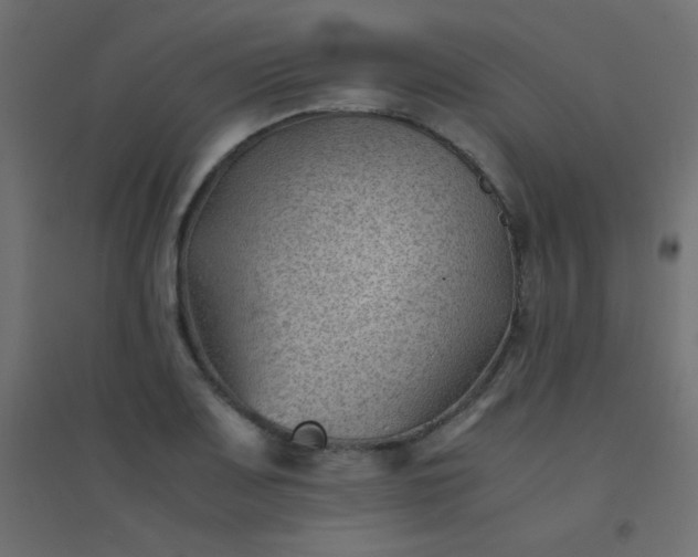 X0000094451083200711211513