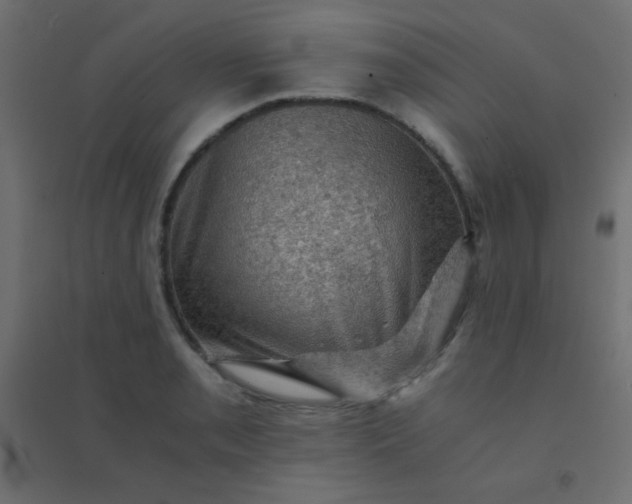 X0000094451085200711211513