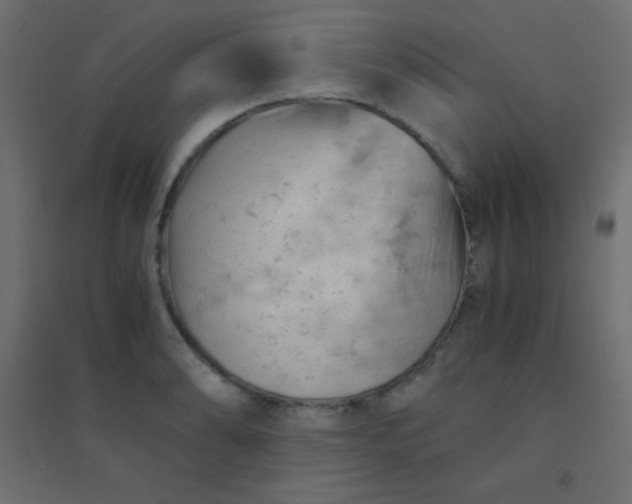 X0000094451086200711211513