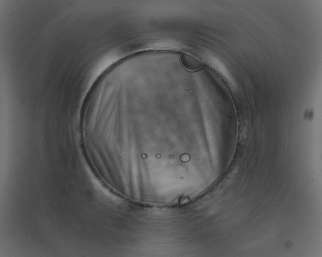 X0000094451087200711211513