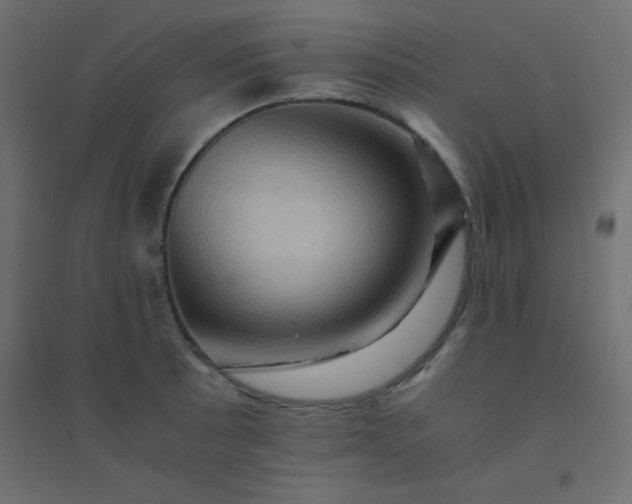 X0000094451089200711211513