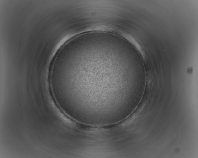 X0000094451091200711211513