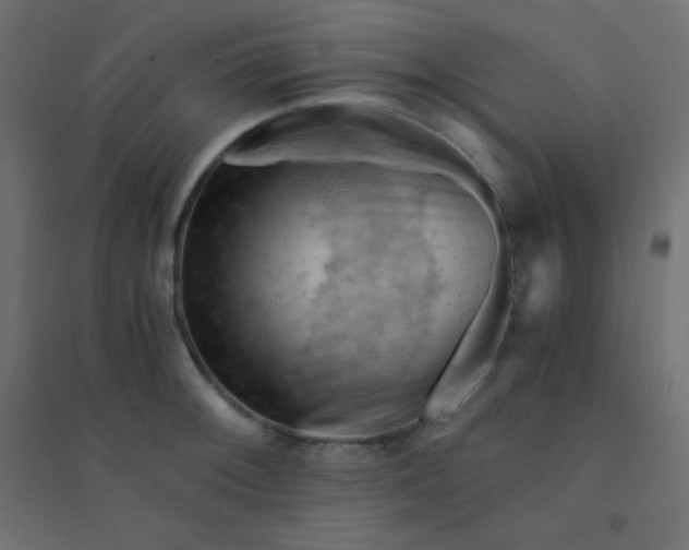 X0000094451092200711211513