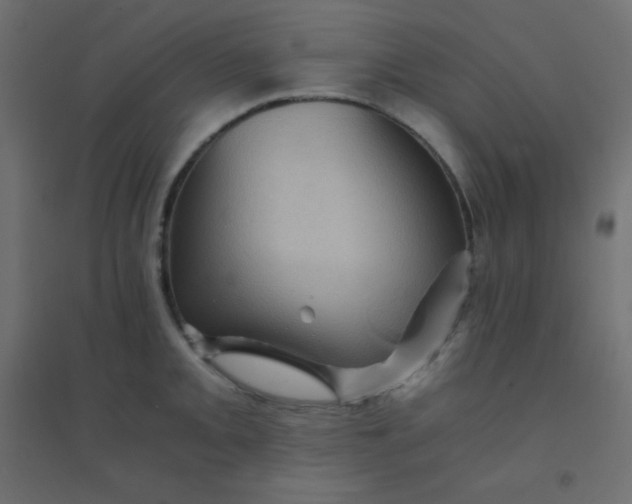 X0000094451093200711211513