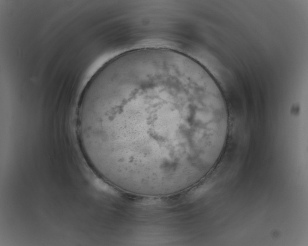 X0000094451094200711211513